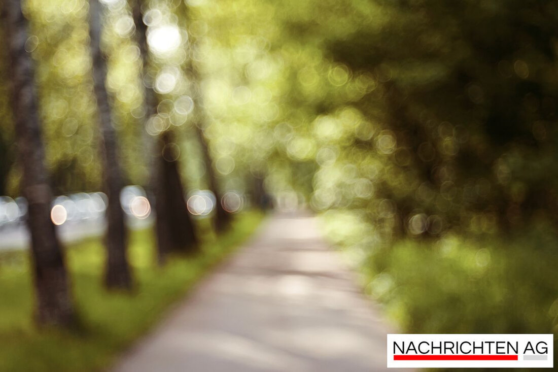 Am 23.05.2025 findet in Völklingen der „Tag der Nachbarschaft“ im Nachbarschaftsgarten an der Versöhnungskirche statt. Alle sind eingeladen!